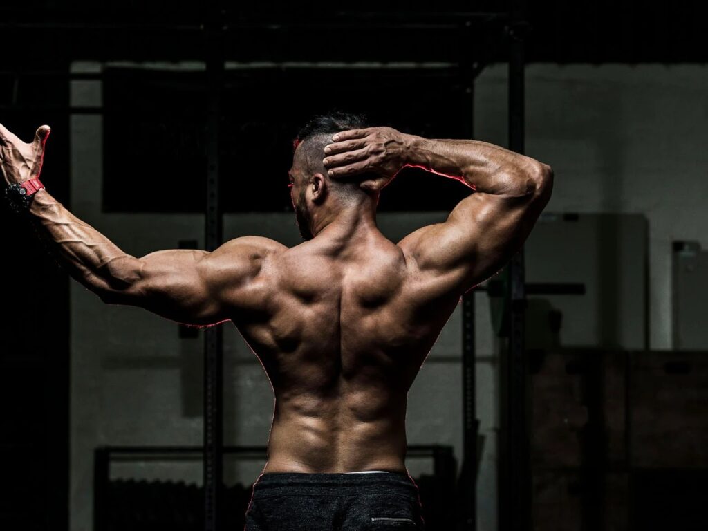 Clenbuterol Side Effects
